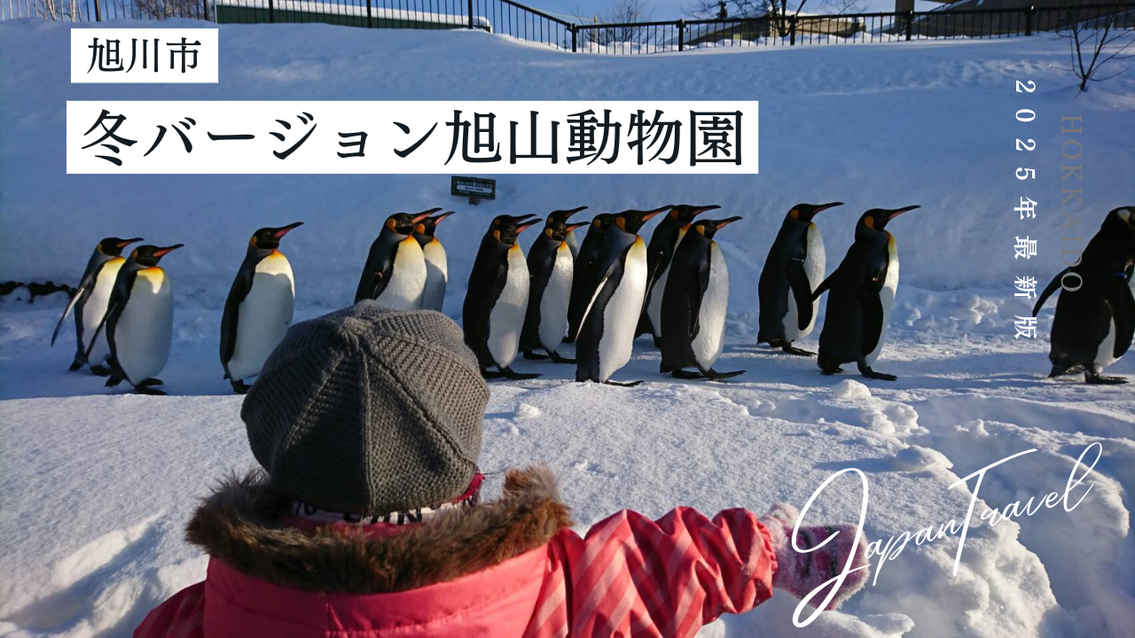 冬の旭山動物園表紙
